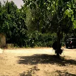 فندق مبيت وإفطار Ambra نوتو